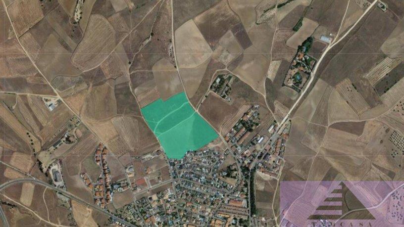 For sale of land in Casarrubios del Monte