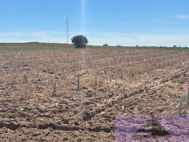 For sale of land in Las Ventas de Retamosa