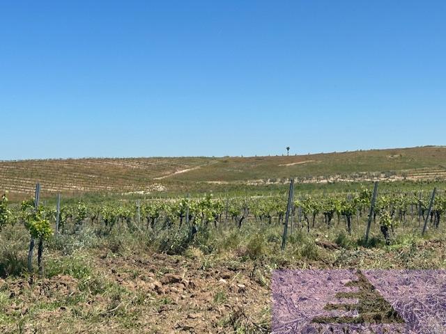 Venta de terreno en Las Ventas de Retamosa