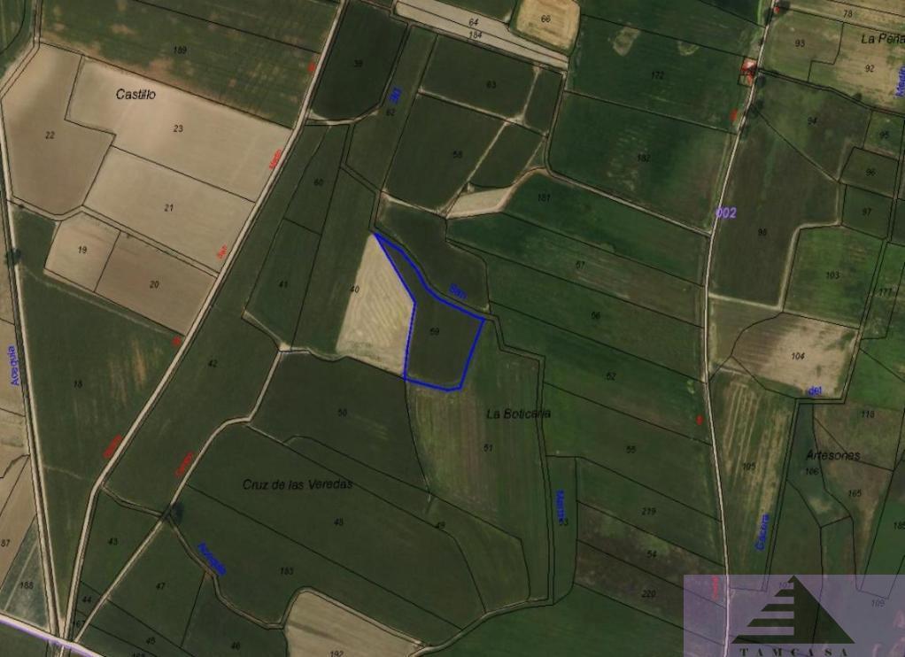 For sale of land in Ciempozuelos