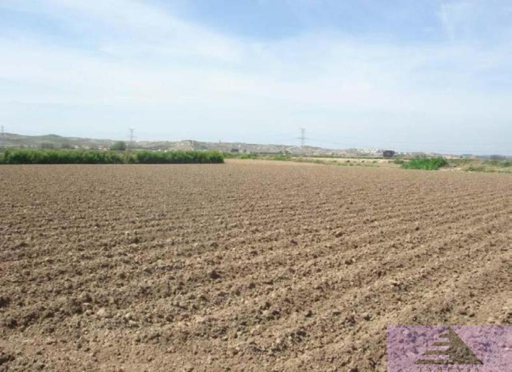 For sale of land in Ciempozuelos