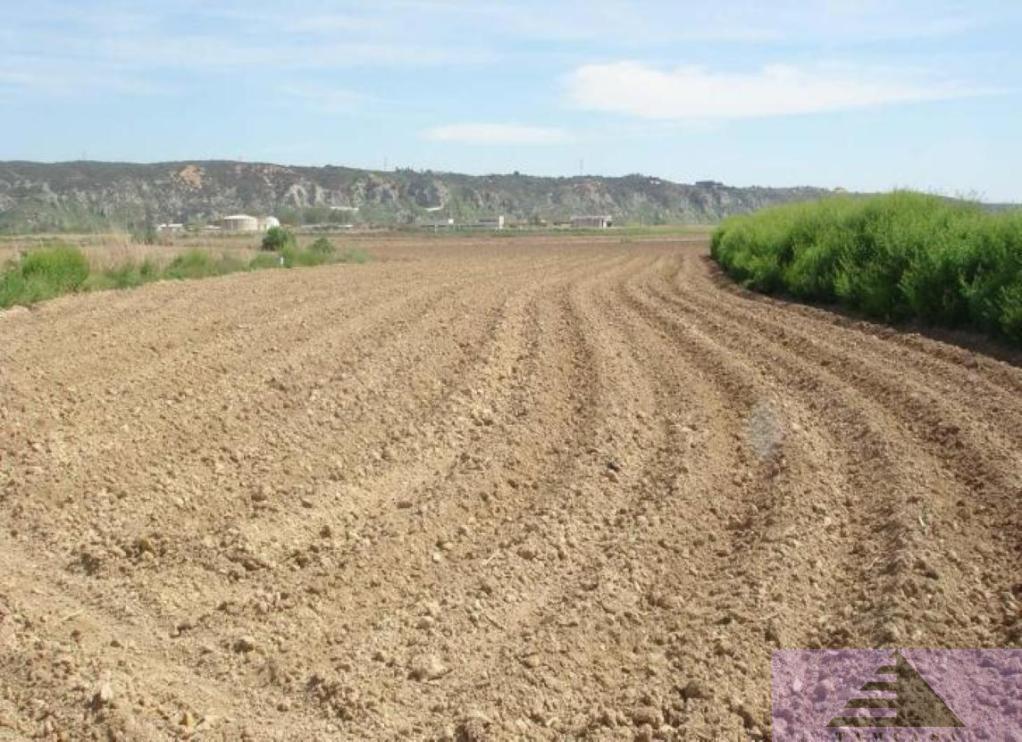 For sale of land in Ciempozuelos
