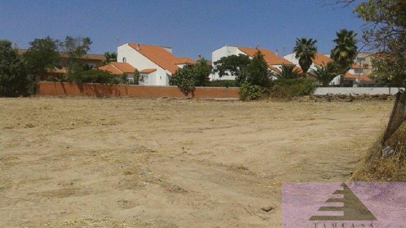 For sale of land in Ugena