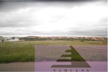 For sale of land in Zamora