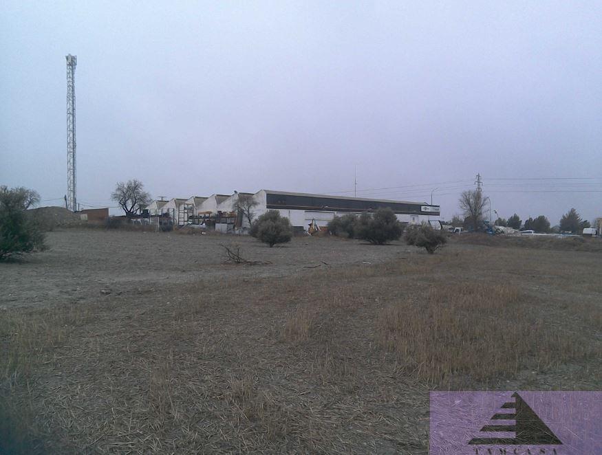 For sale of land in Pinto