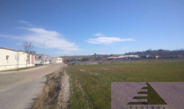 For sale of land in Pinto