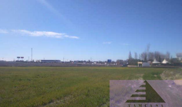 For sale of land in Pinto