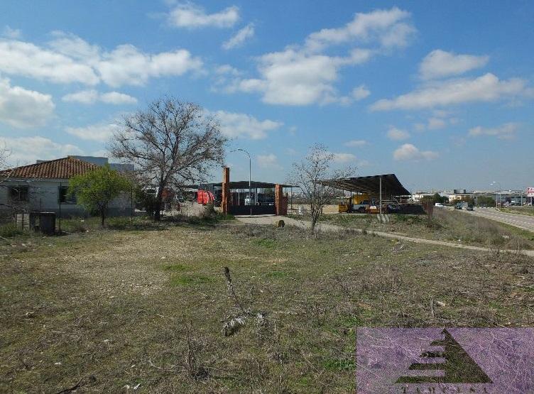 Venta de terreno en Pinto