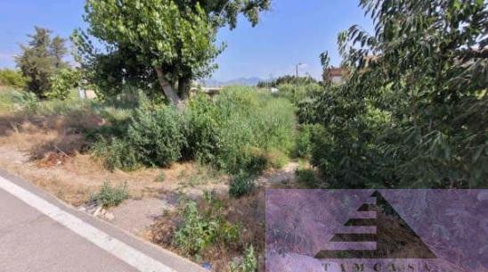 For sale of land in Castellón