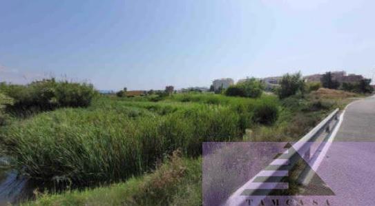 For sale of land in Castellón