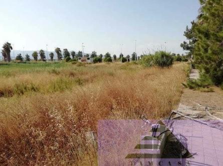 For sale of land in Moncofa