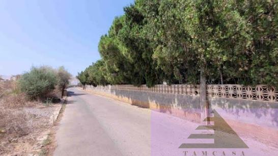 For sale of land in Oropesa del Mar
