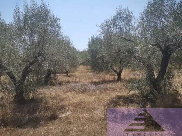 Venta de terreno en Vinaròs
