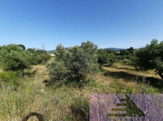 Venta de terreno en Alcoy