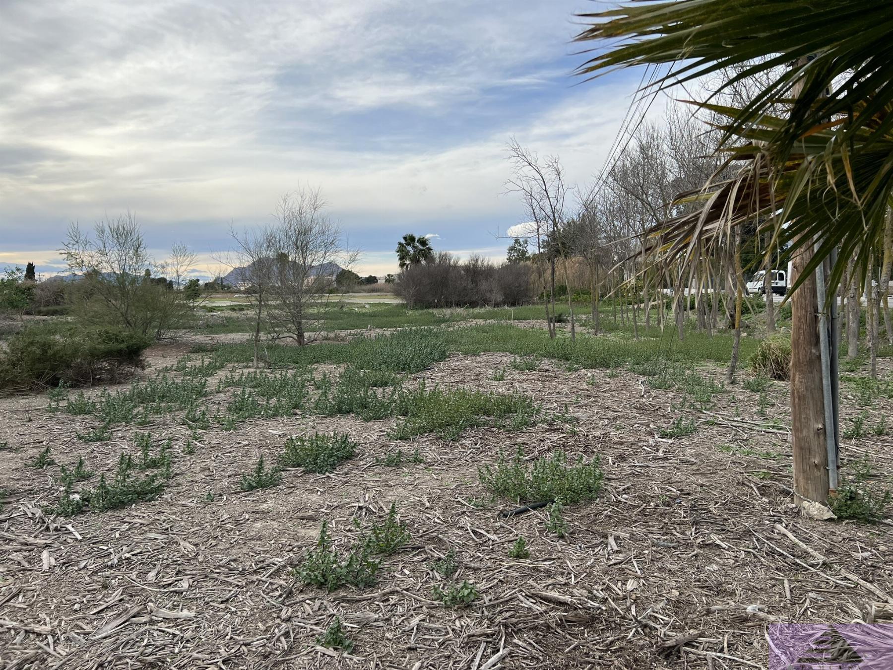 Venta de terreno en Almoradí