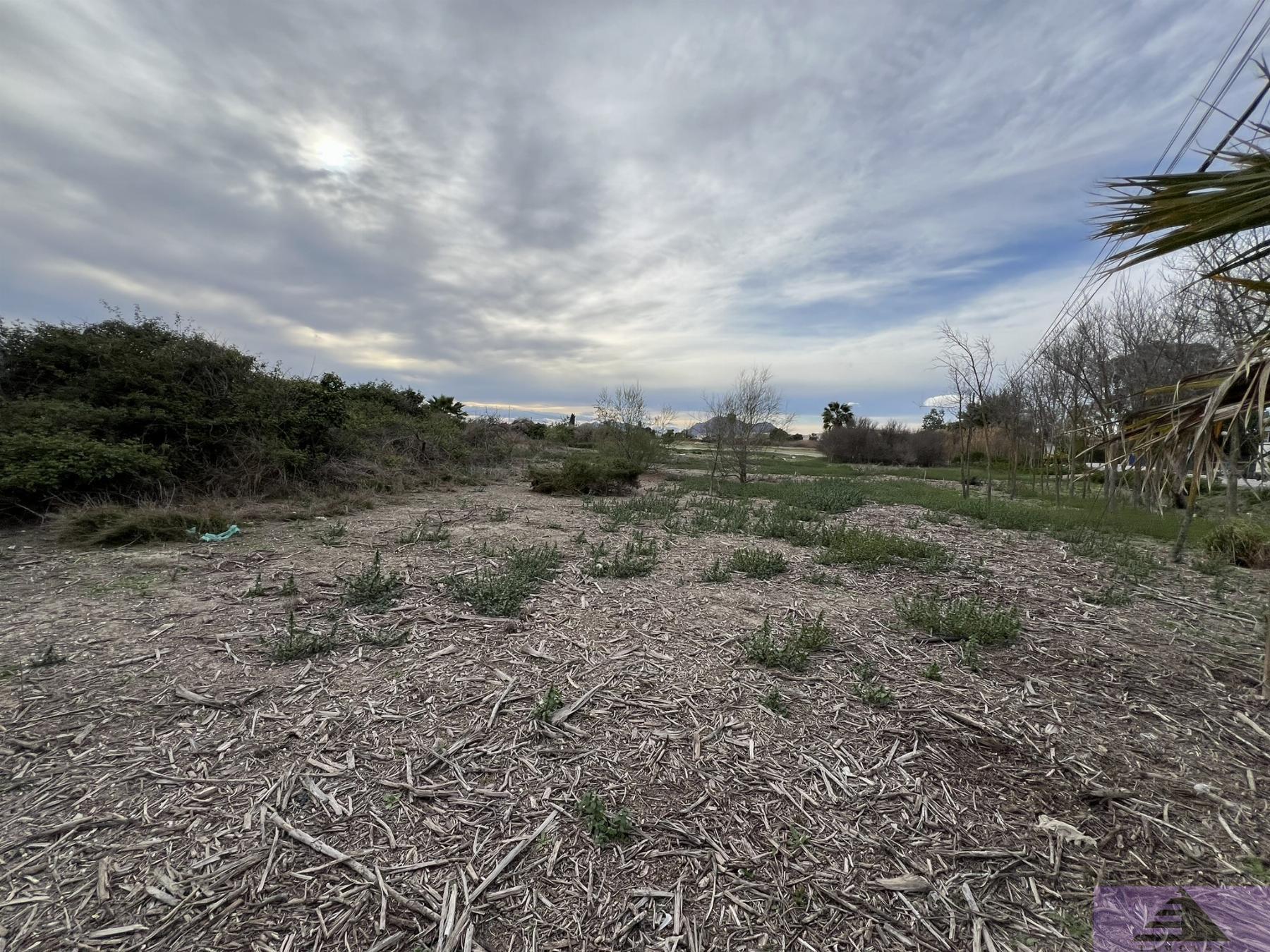 Venta de terreno en Almoradí