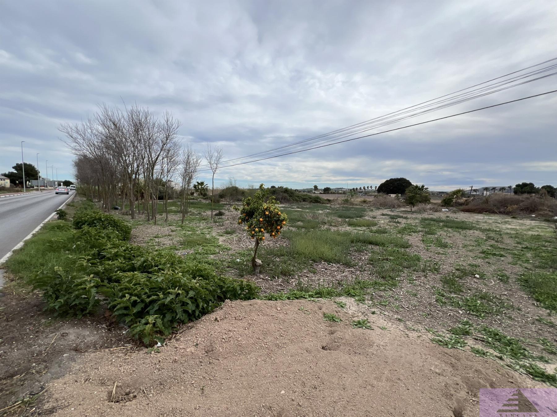Venta de terreno en Almoradí