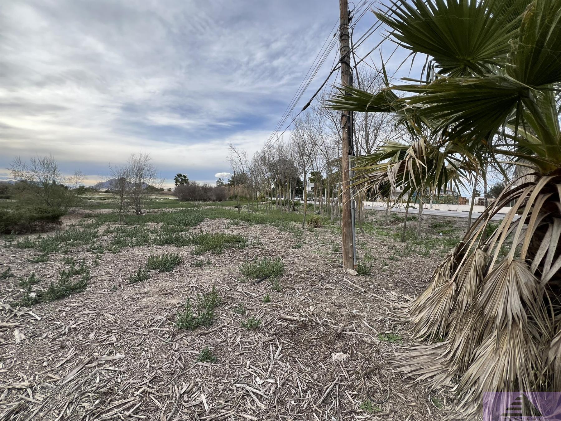 Venta de terreno en Almoradí