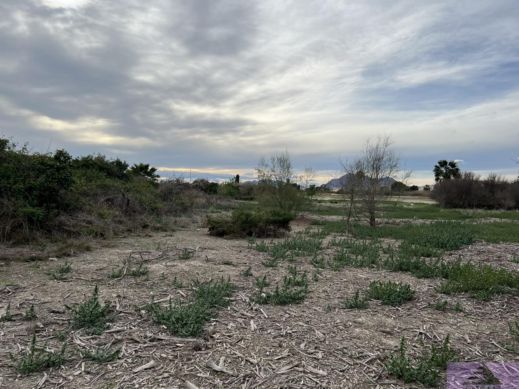 Venta de terreno en Almoradí