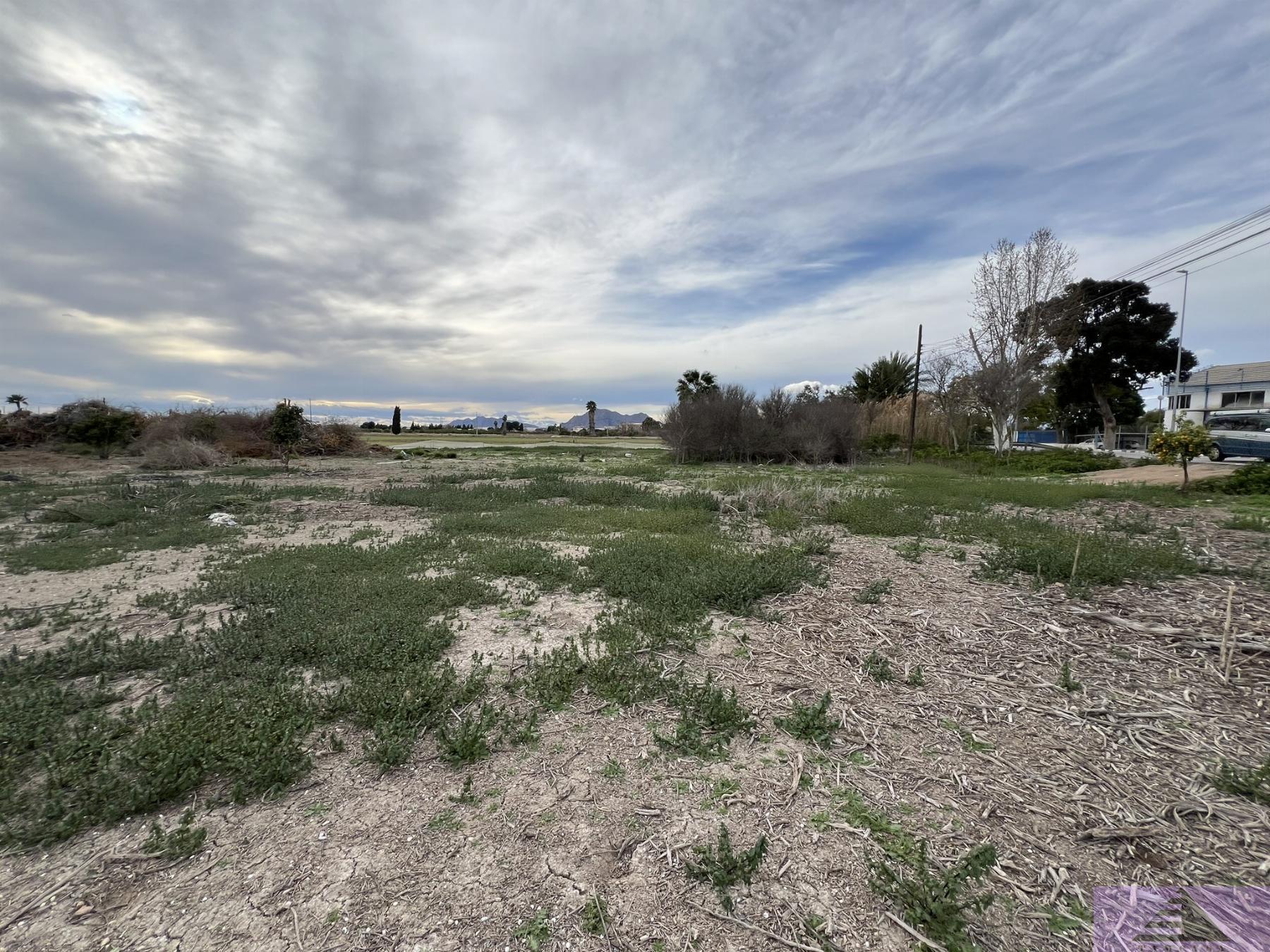 Venta de terreno en Almoradí