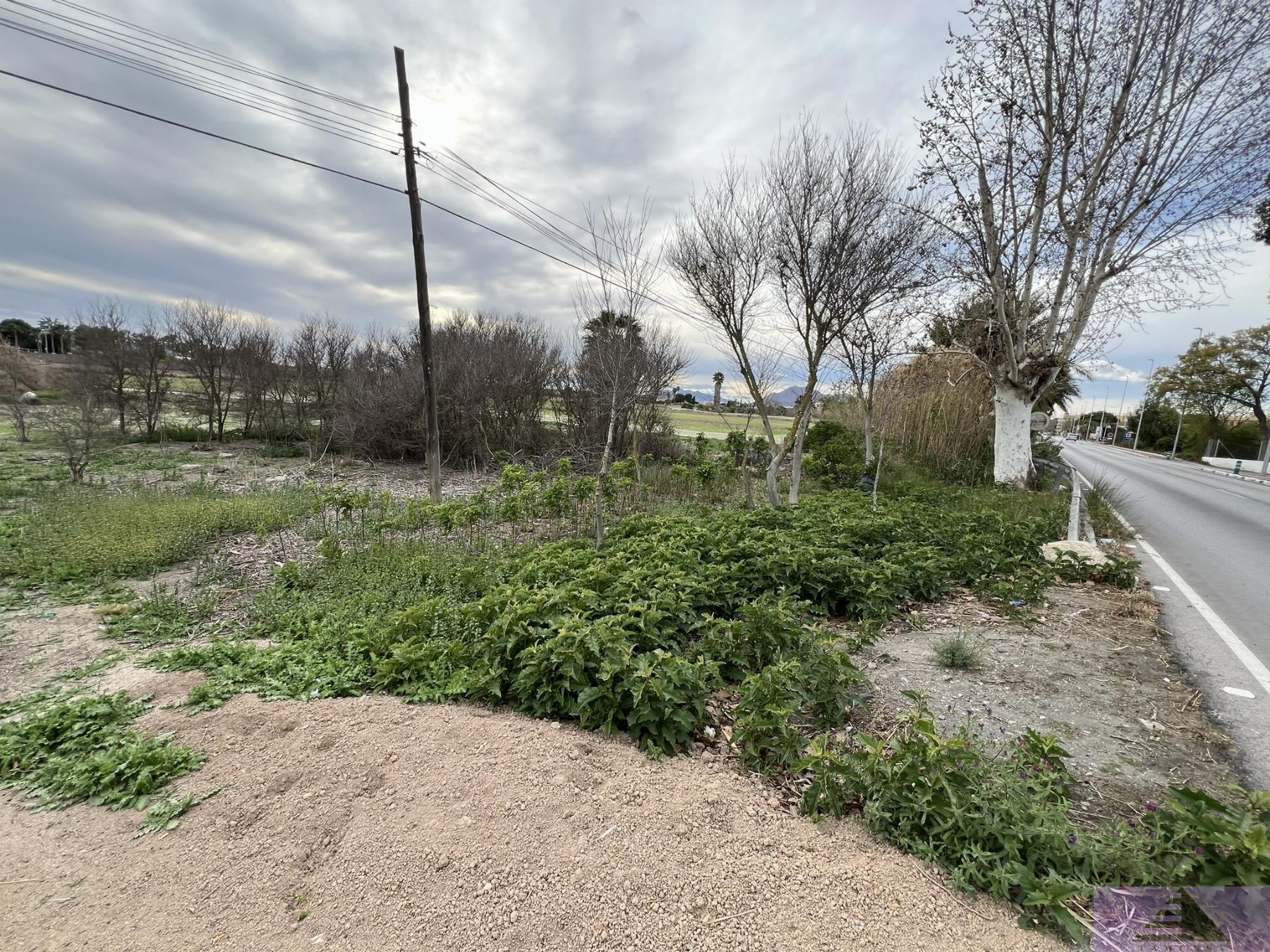 Venta de terreno en Almoradí