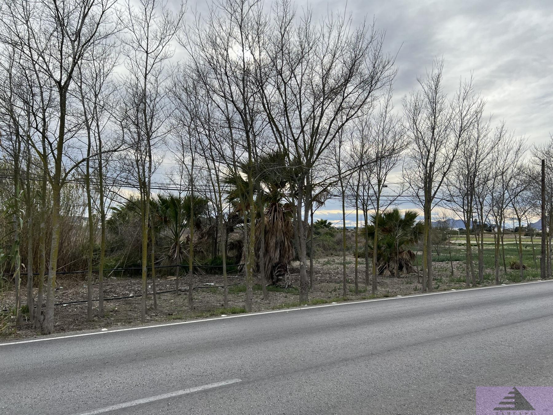 Venta de terreno en Almoradí