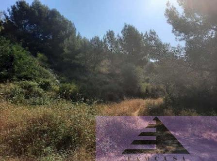 Venta de terreno en Jalón-Xaló
