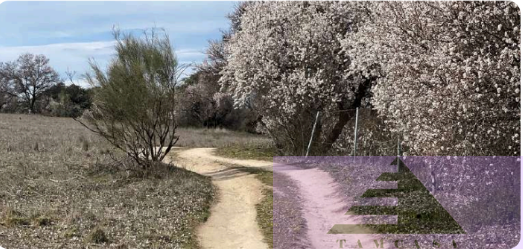 Venta de finca rústica en Navalcarnero