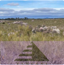 Venta de finca rústica en Navalcarnero