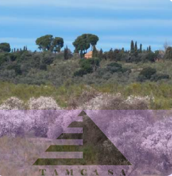 Venta de finca rústica en Navalcarnero