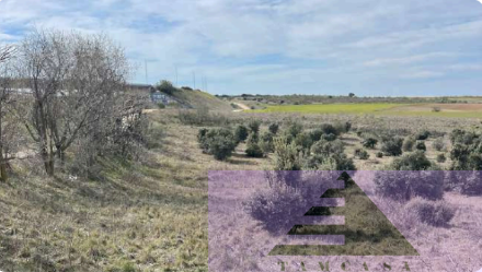 Venta de finca rústica en Navalcarnero