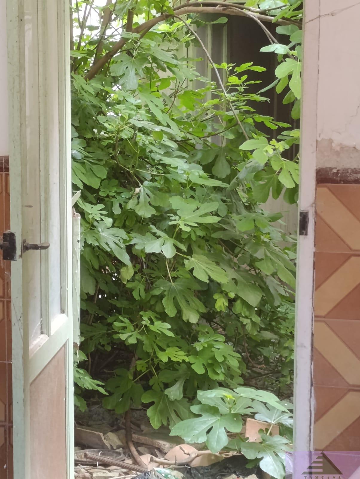 Venta de casa en Cabezamesada