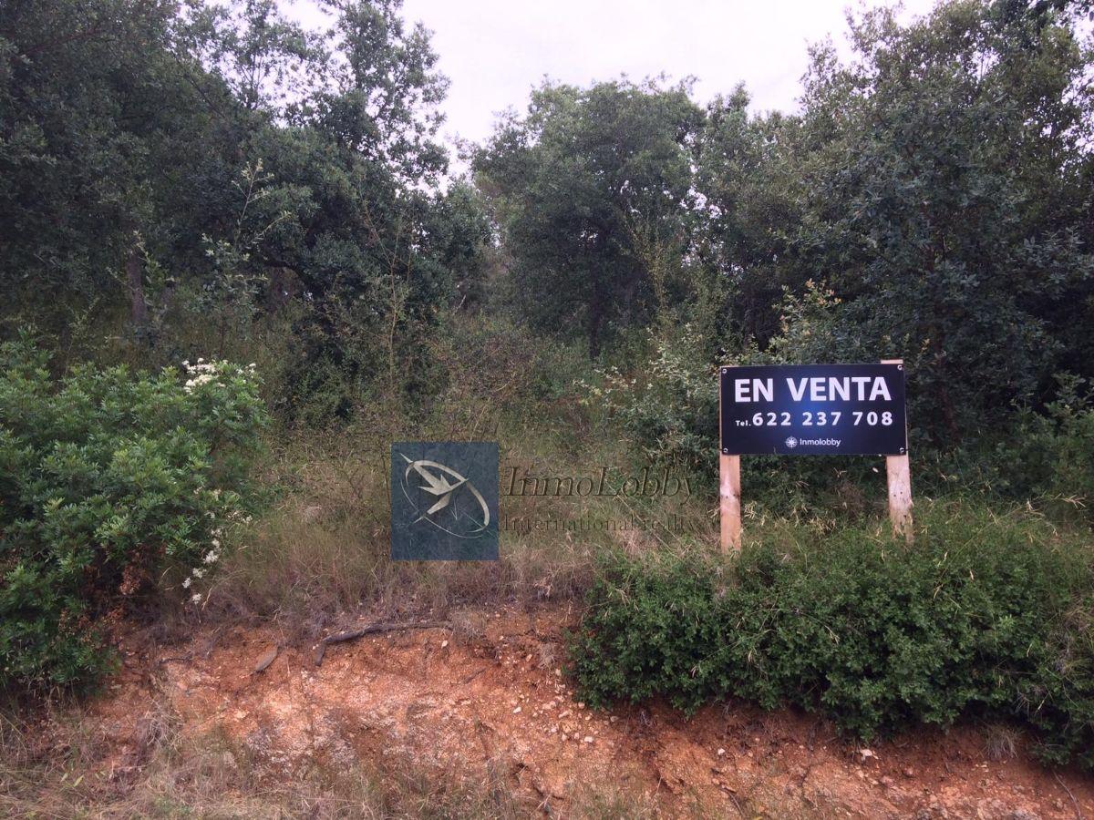 Venda de terreny a Calonge