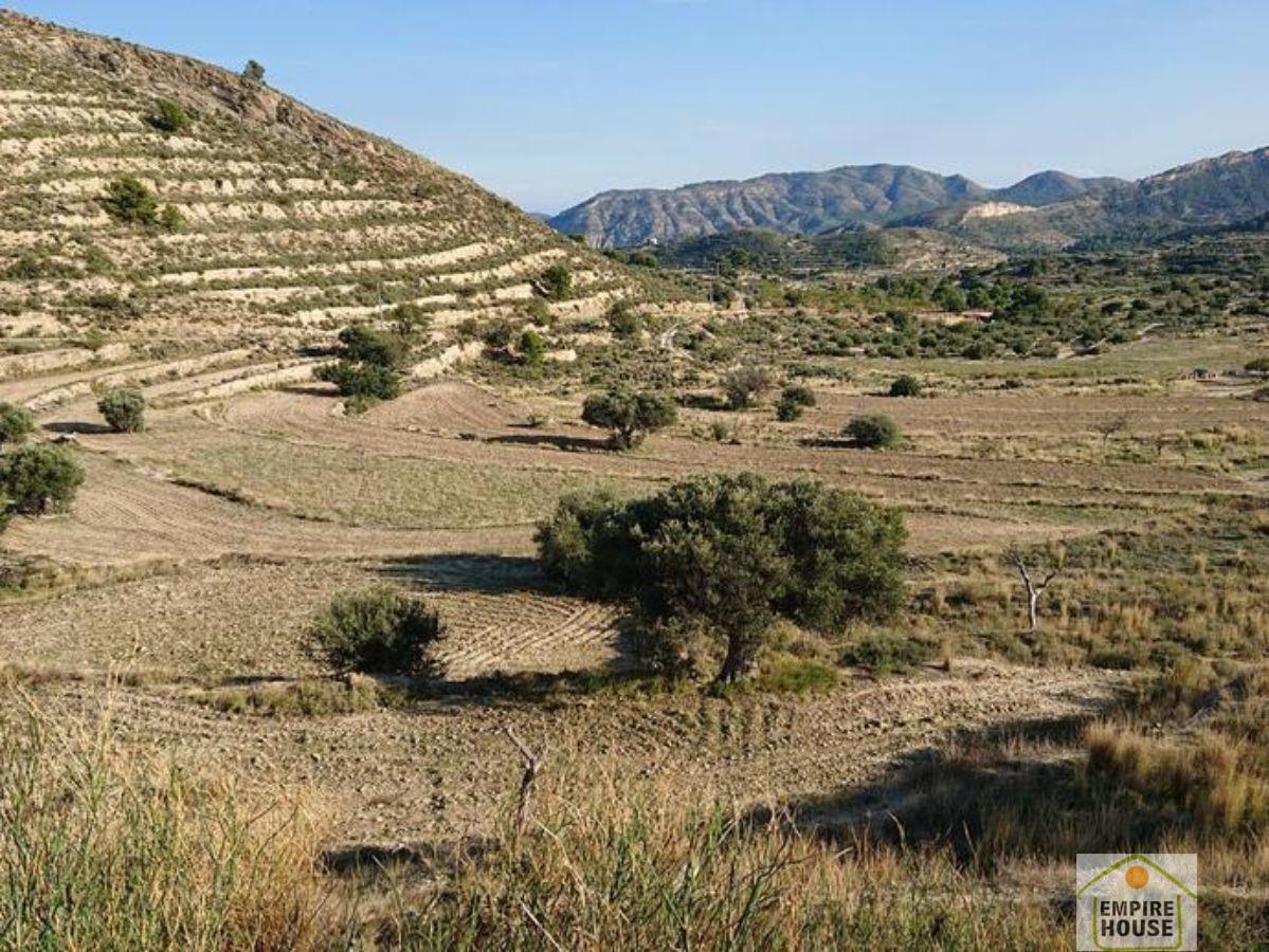 For sale of rural property in Alicante