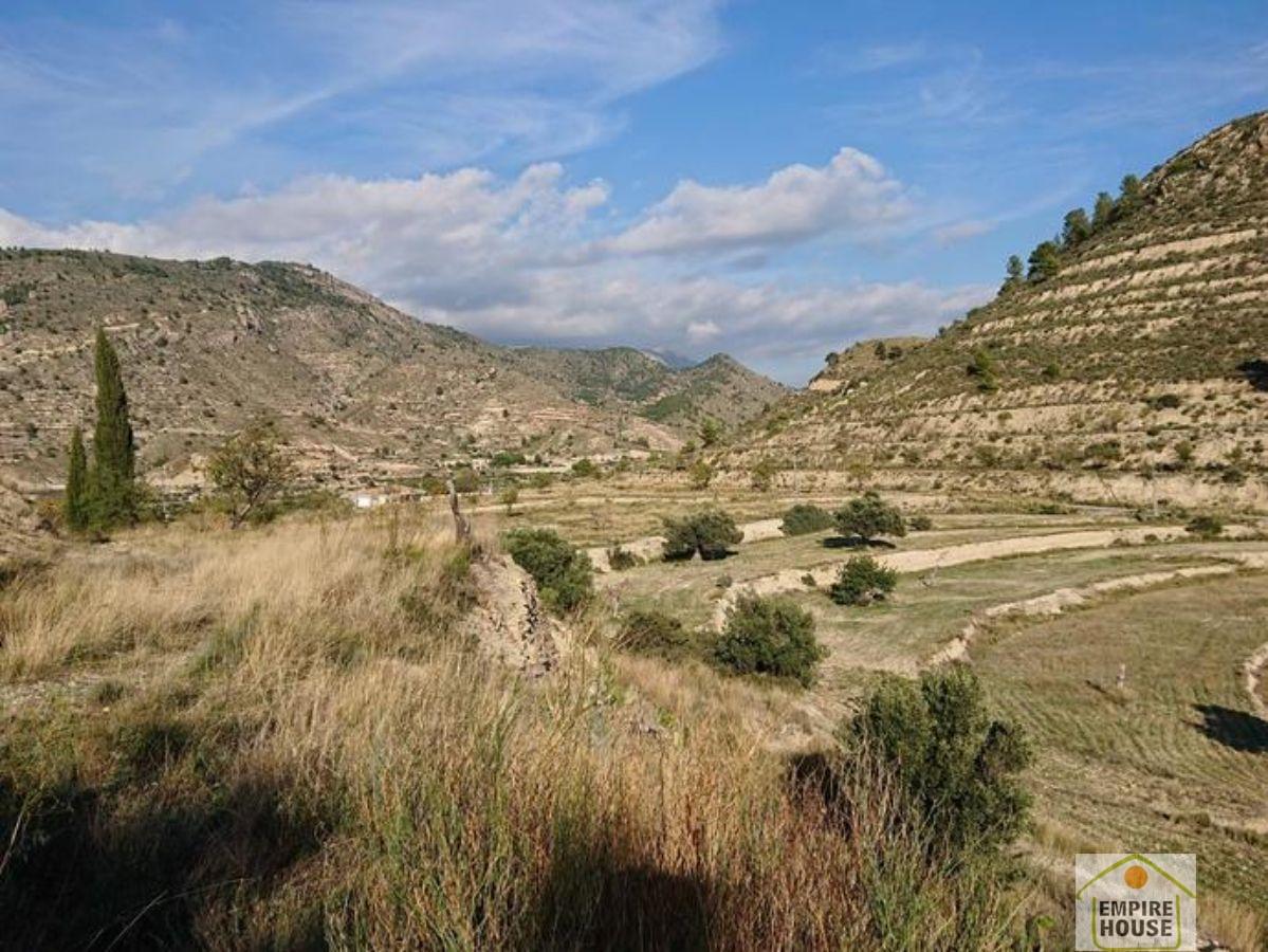 For sale of rural property in Alicante