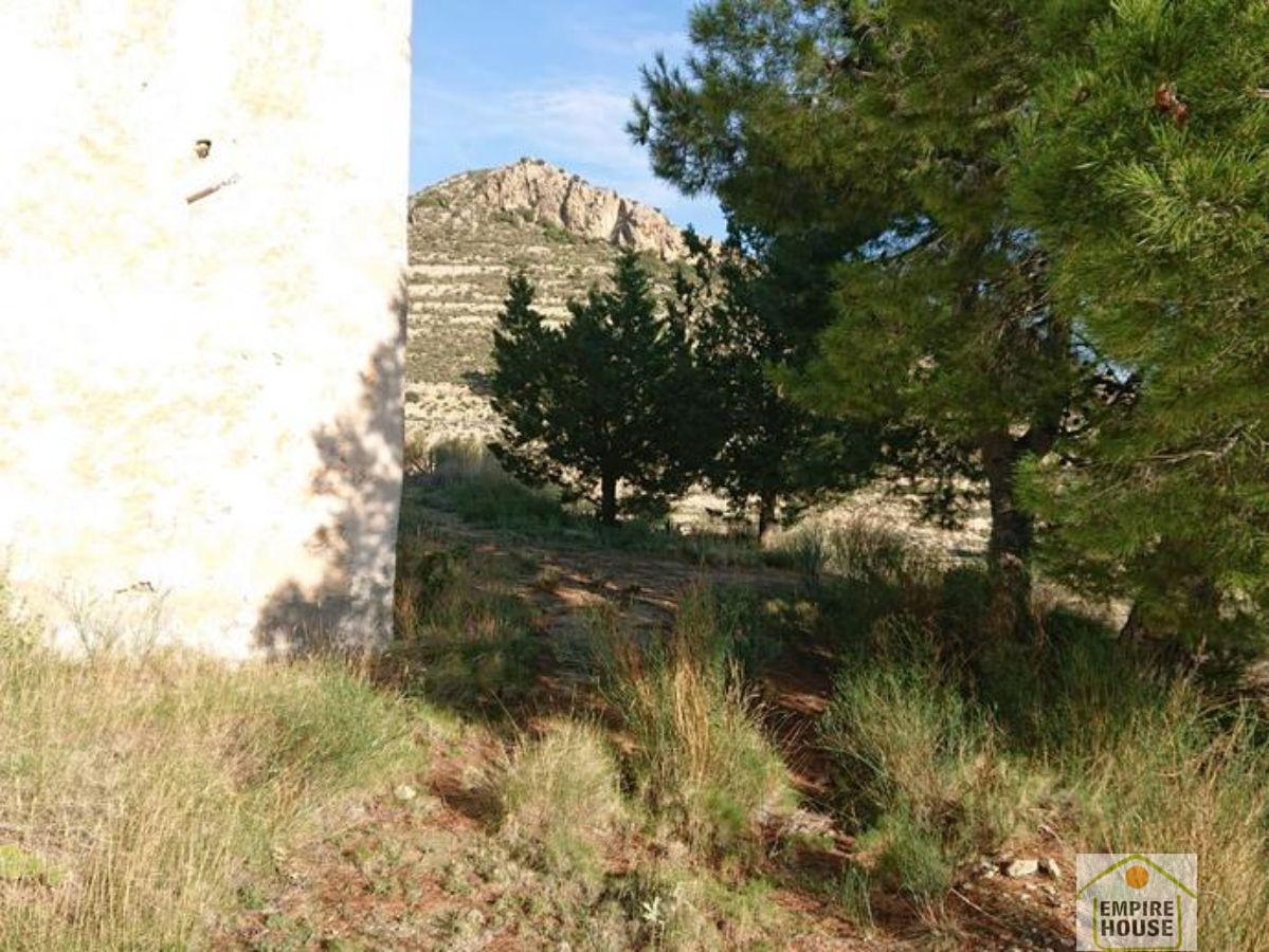 For sale of rural property in Alicante