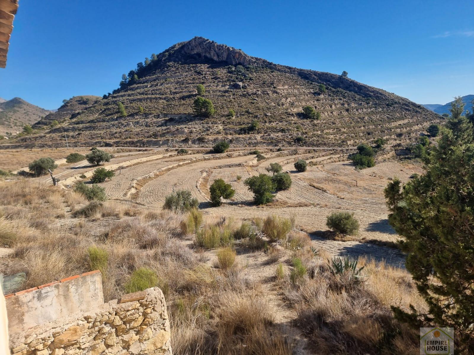 For sale of rural property in Alicante