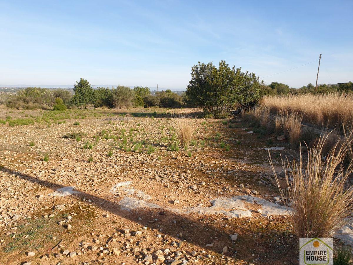 For sale of land in Cheste