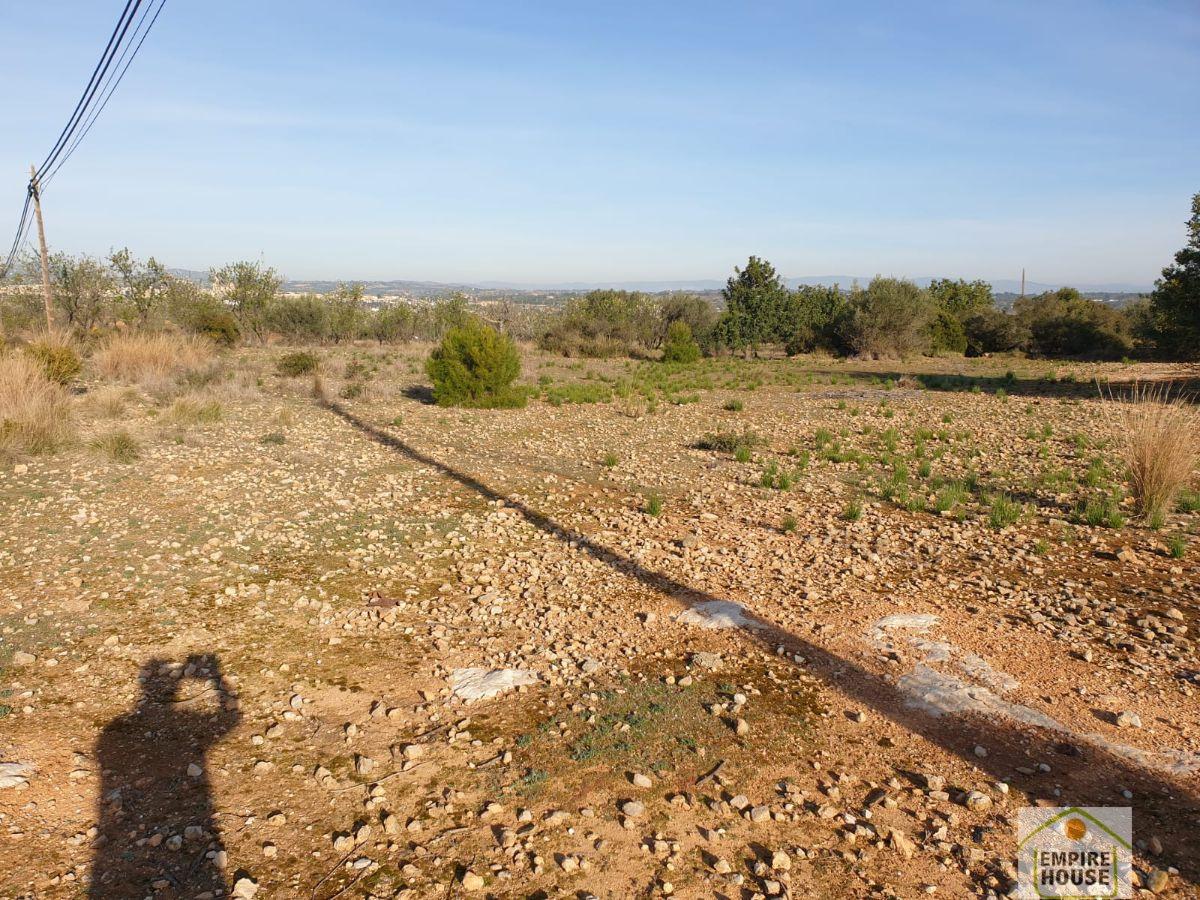 For sale of land in Cheste