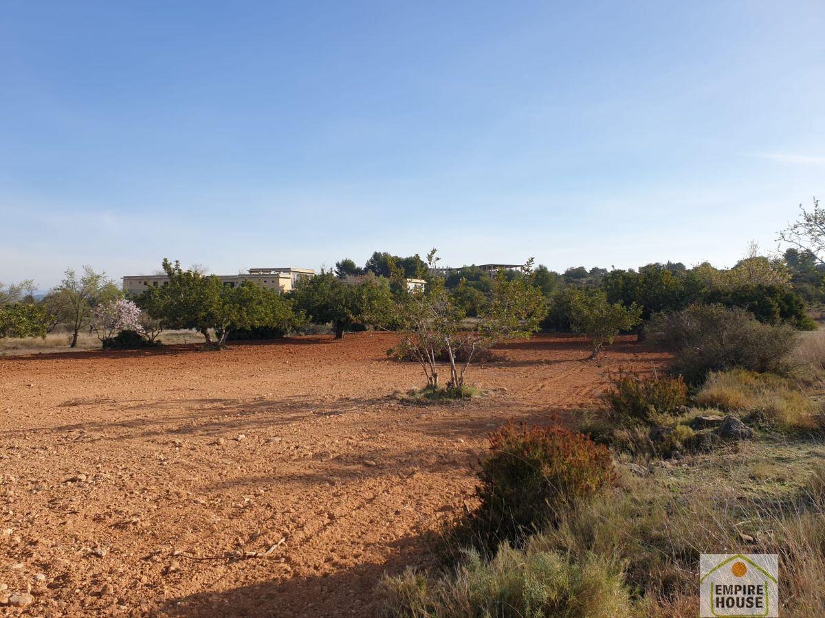 Venta de terreno en Cheste