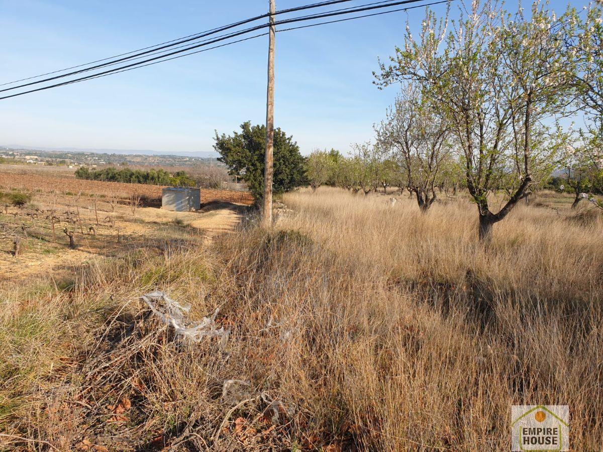 For sale of land in Cheste