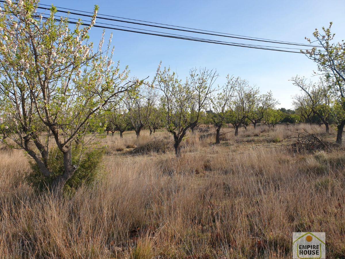 For sale of land in Cheste