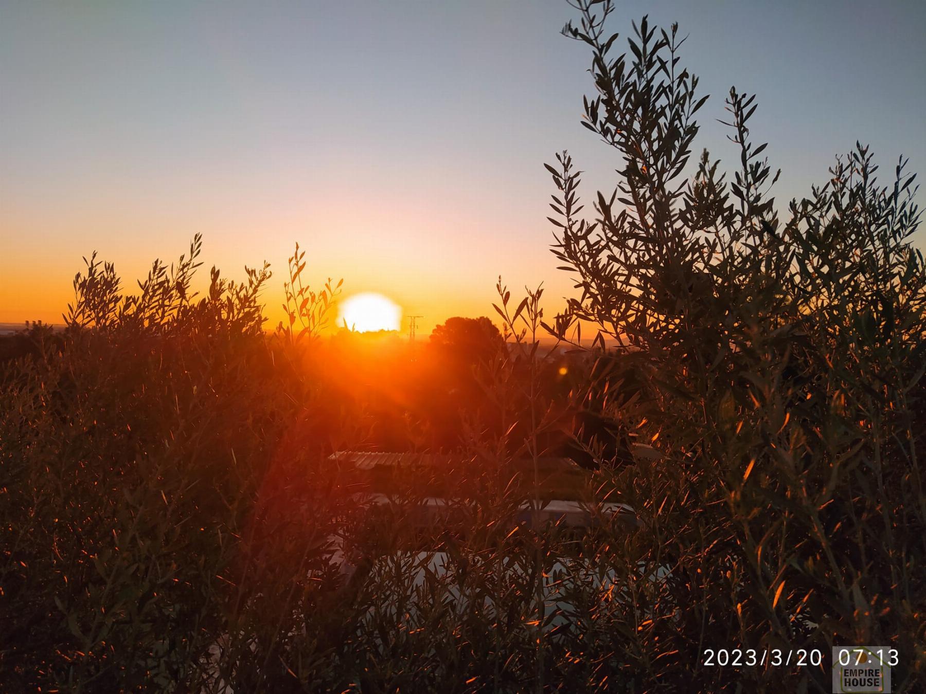 For rent of chalet in Alginet
