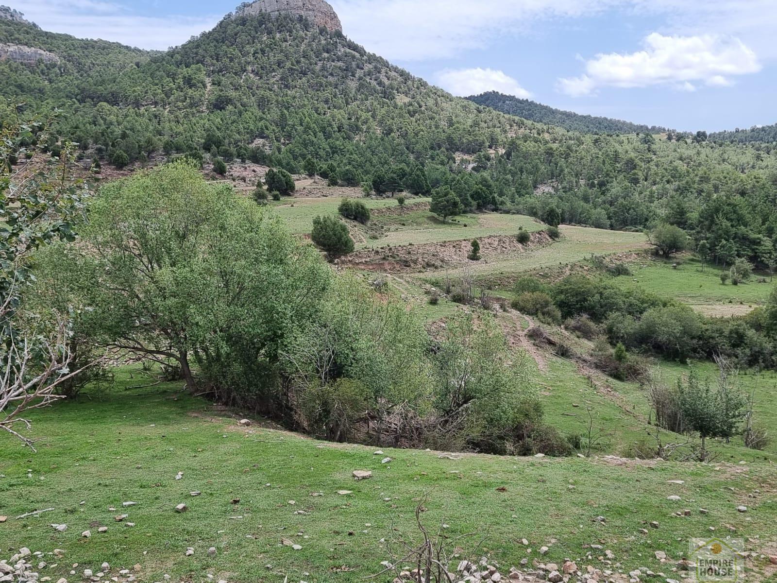 For rent of land in Gúdar