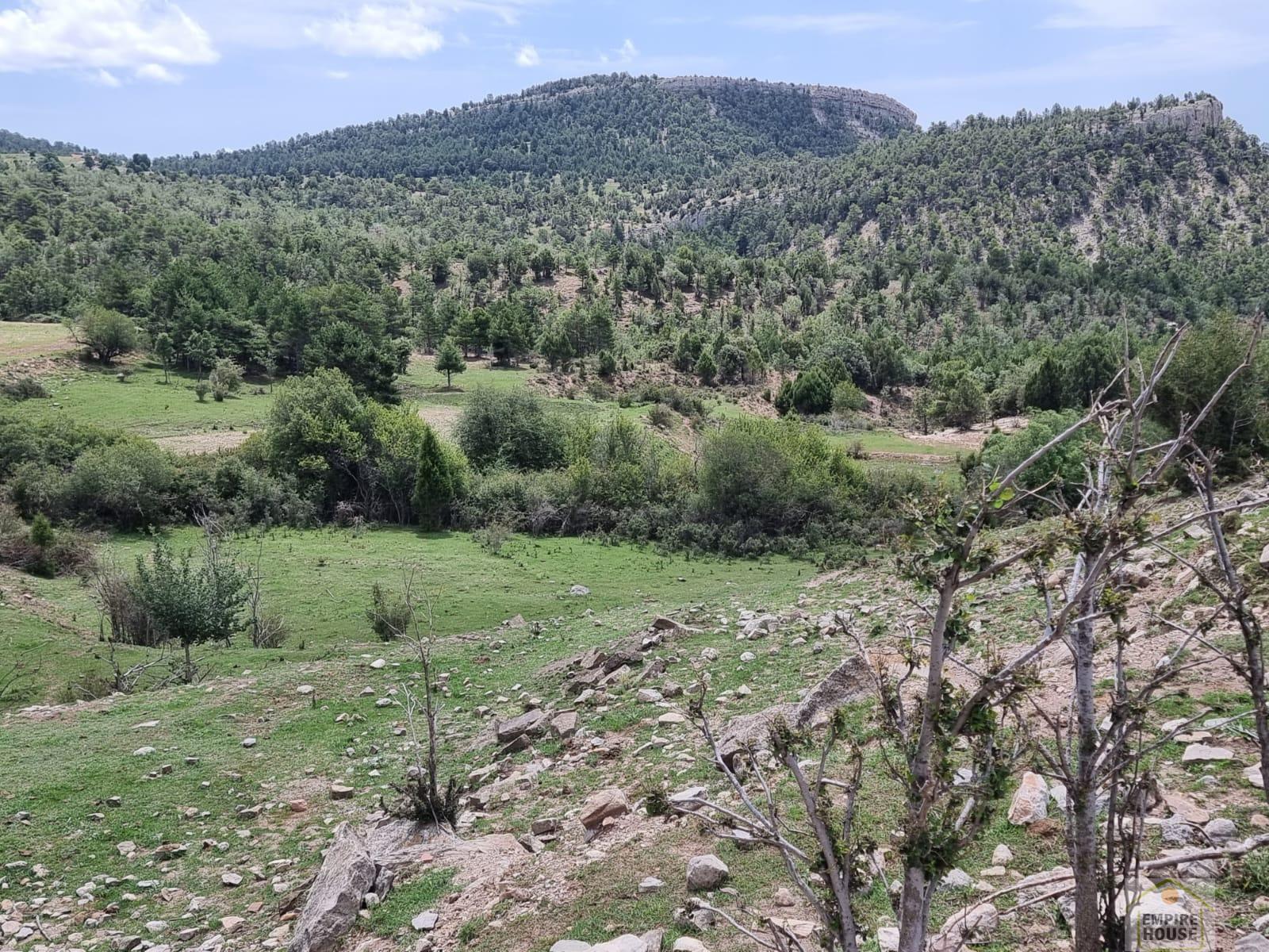 For rent of land in Gúdar