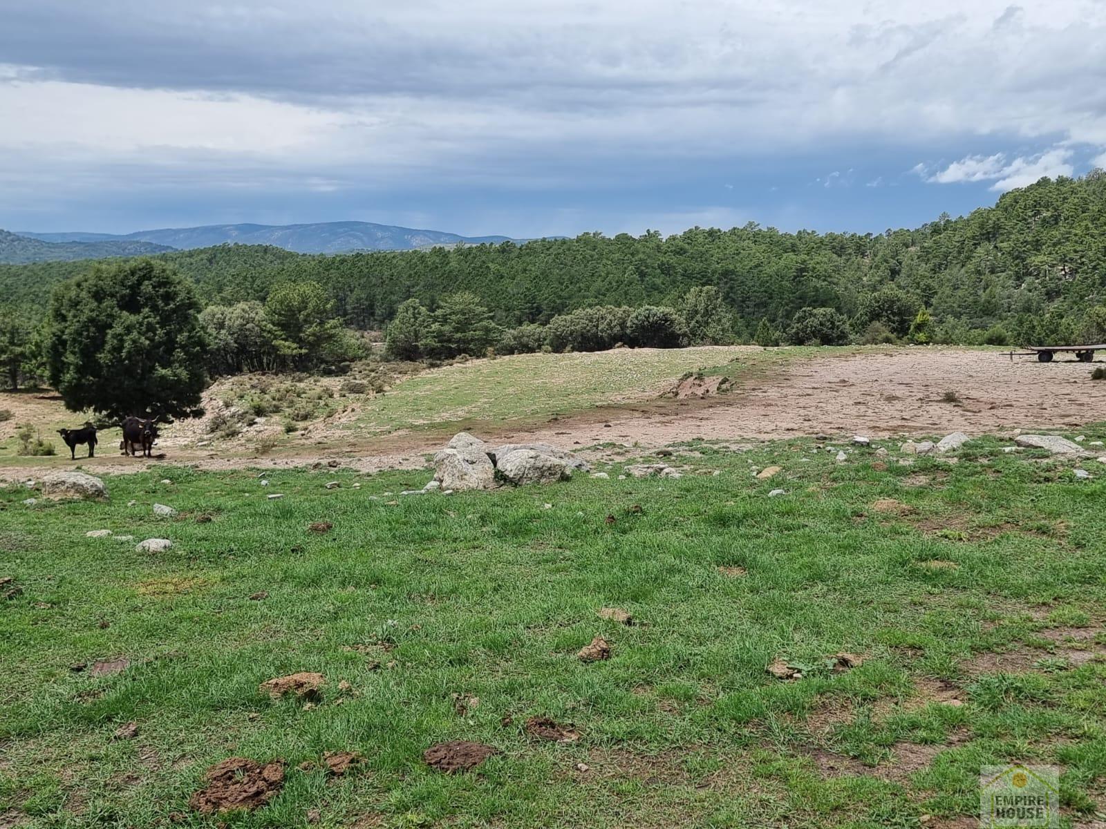 For rent of land in Gúdar