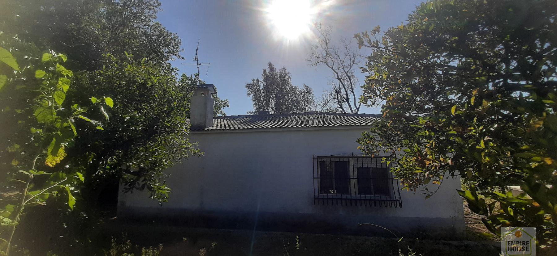 Venta de chalet en Alzira