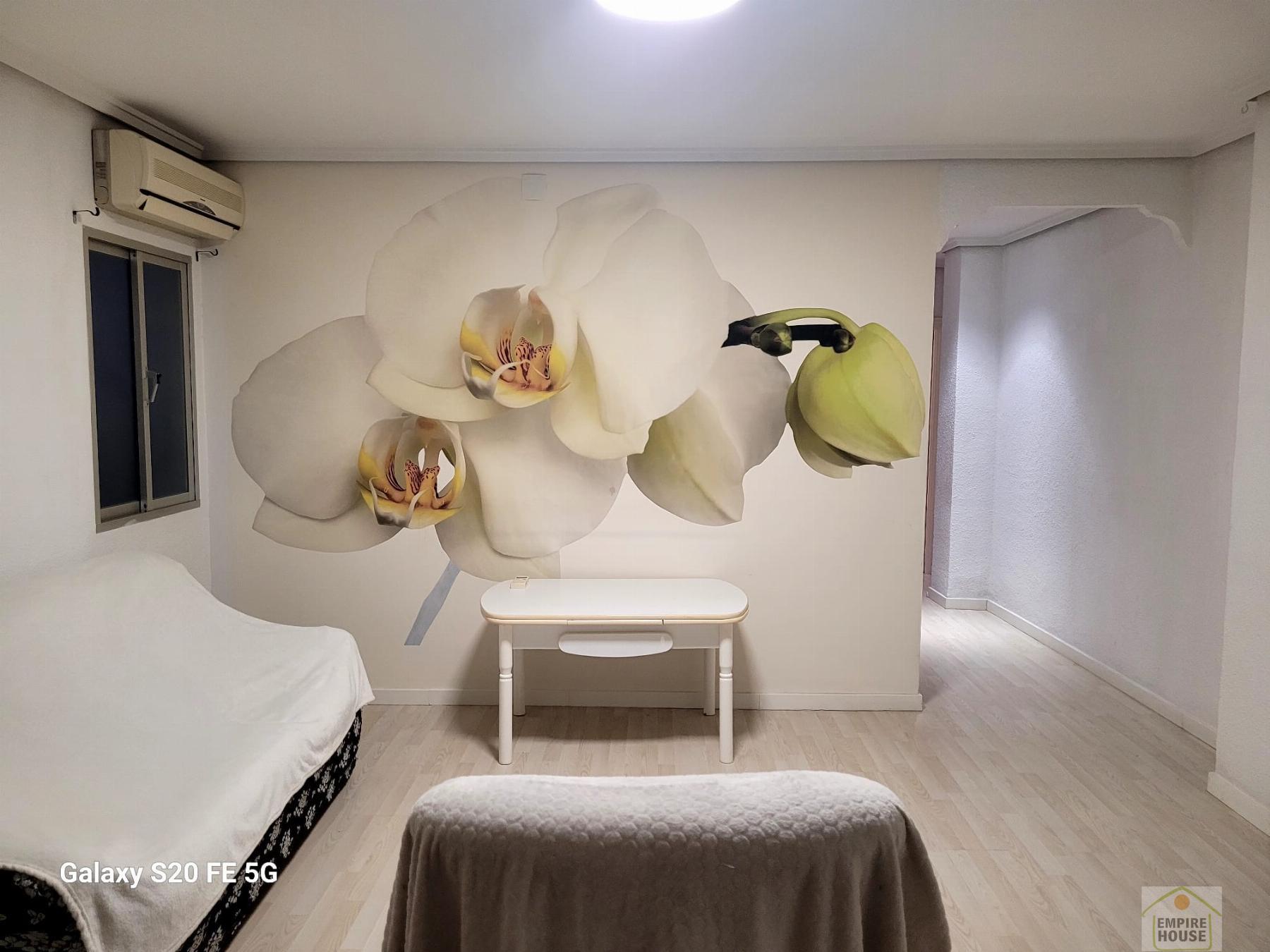 Alquiler de piso en Sagunto Sagunt