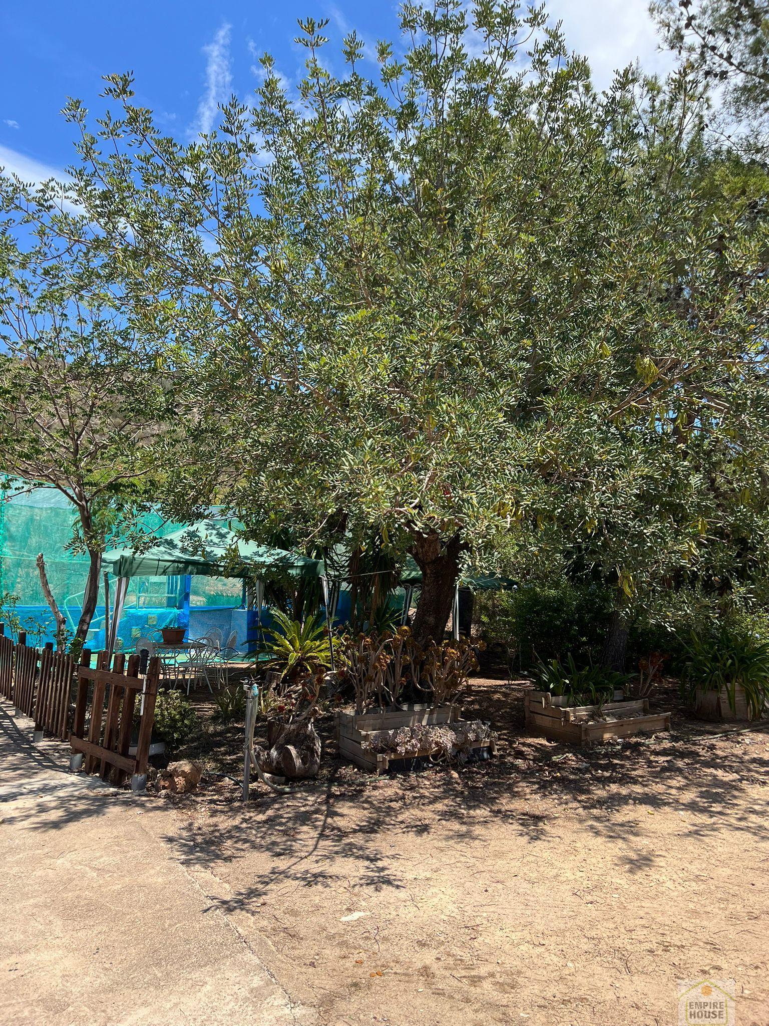 Venta de chalet en Turís Venta de chalet en Turís