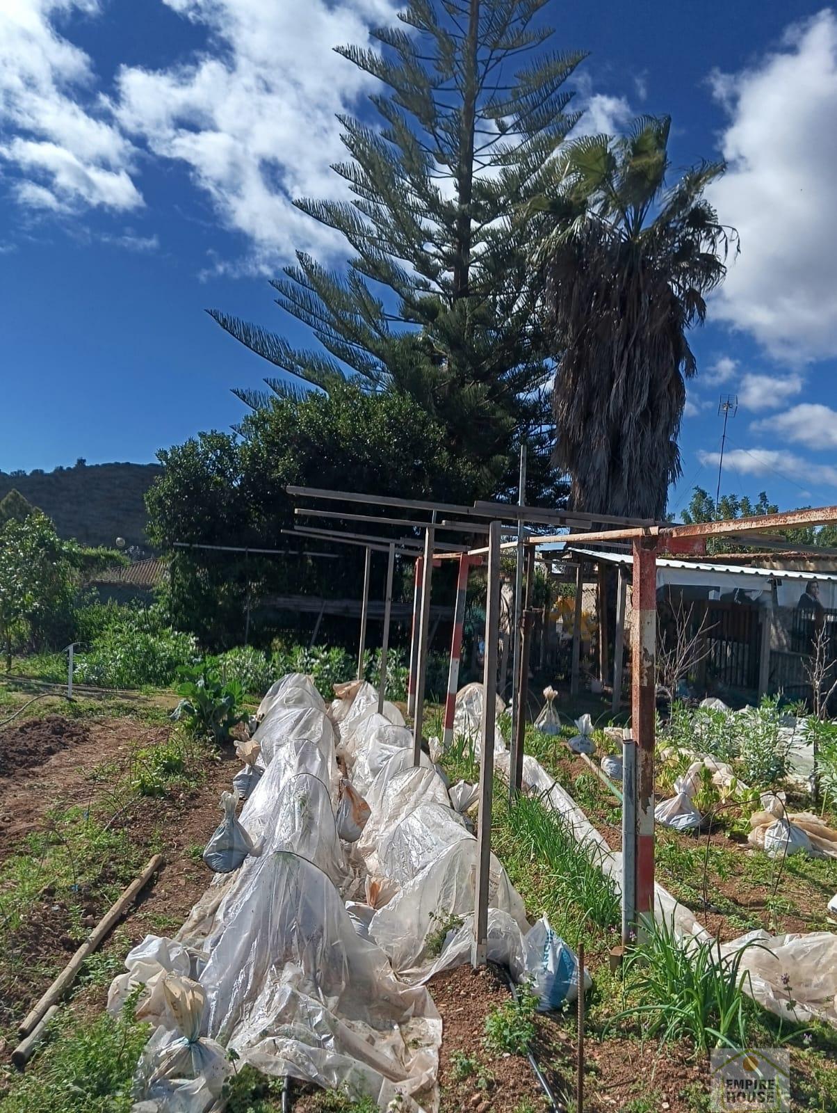 Venta de chalet en Alfarp Venta de chalet en Alfarp